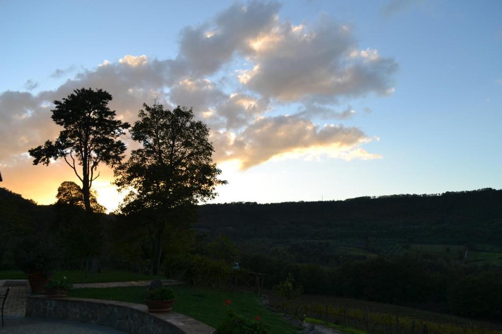 Agriturismo Lapone Orvieto Kültér fotó