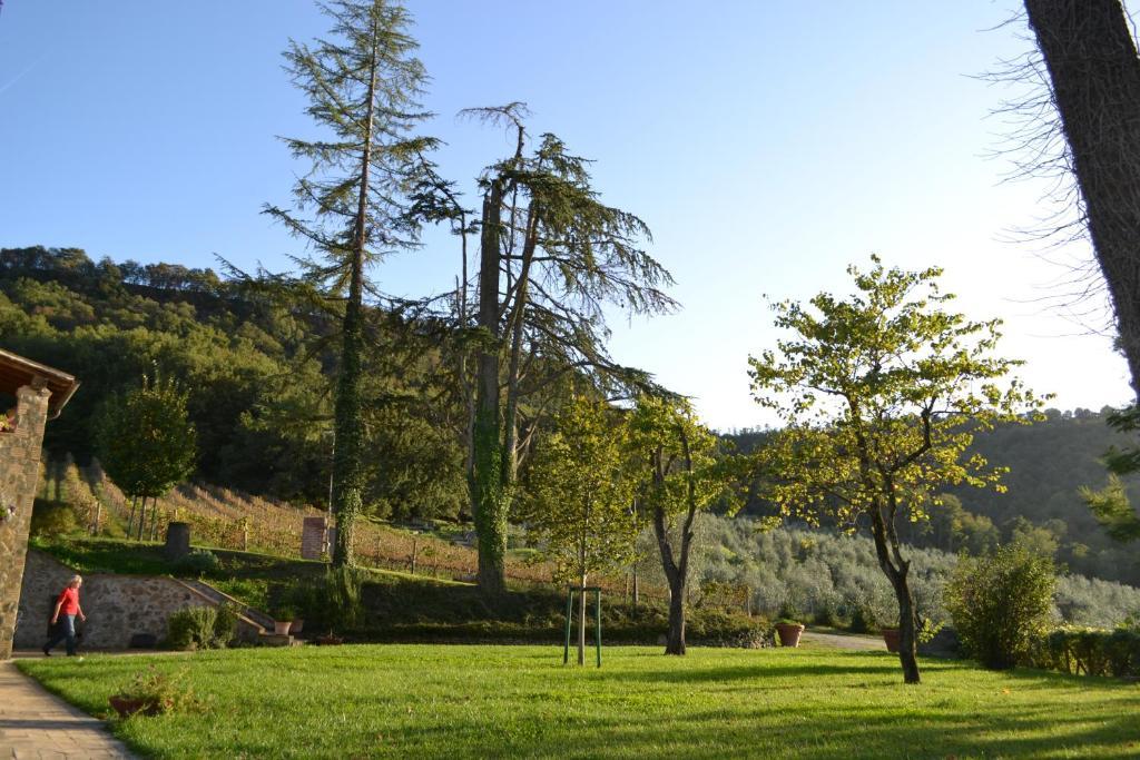 Agriturismo Lapone Orvieto Kültér fotó